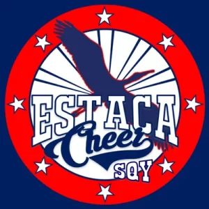 Le club de cheerleading de l'ESTACA SQY représente une cigogne bleue entourée d'étoiles blanches.