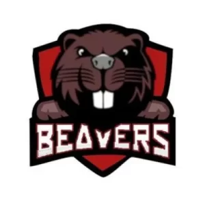 castor brun sur le logo des Beavers de l'ESITC de Caen