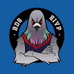 En l'absence de logo, les cheerleaders de l'EIVP arborent celui de leur BDS, représentant un pigeon typiquement parisien qui croise ses bras (le pigeon a même des doigts)