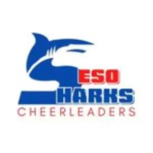 S en forme de requin, logo des Sharks Cheerleaders de l'ESO, l'école d'optique