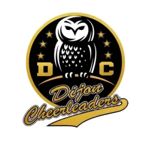 Chouette sur fond noir et étoiles dorées, logo des Dijon Cheerleaders