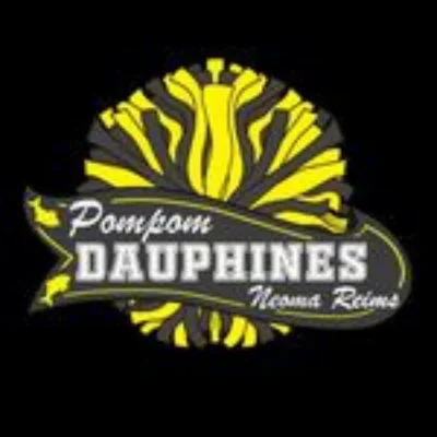 Pompon jaune et noir, logo des Pompoms Dauphines de Neoma Reims