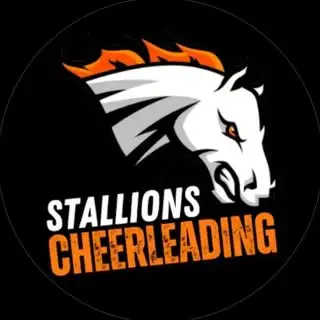 Logo des Section Cheerleading des Stallions de Laval 🟠