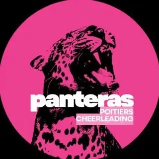 Logo des Panteras 🐆