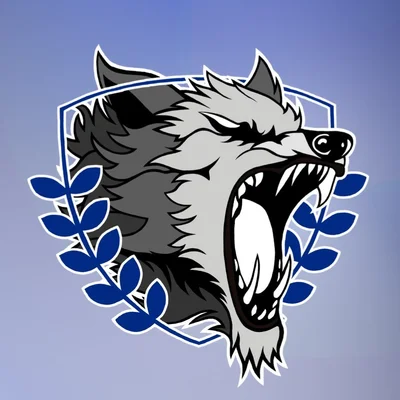 Logo des Asso des Cheerleaders de l’Univ d’Orléans